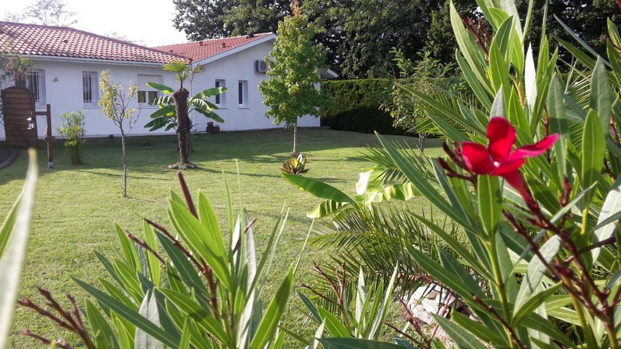 Chambres D'Hotes - Le Petit Bali Saint-Pandelon Exterior foto